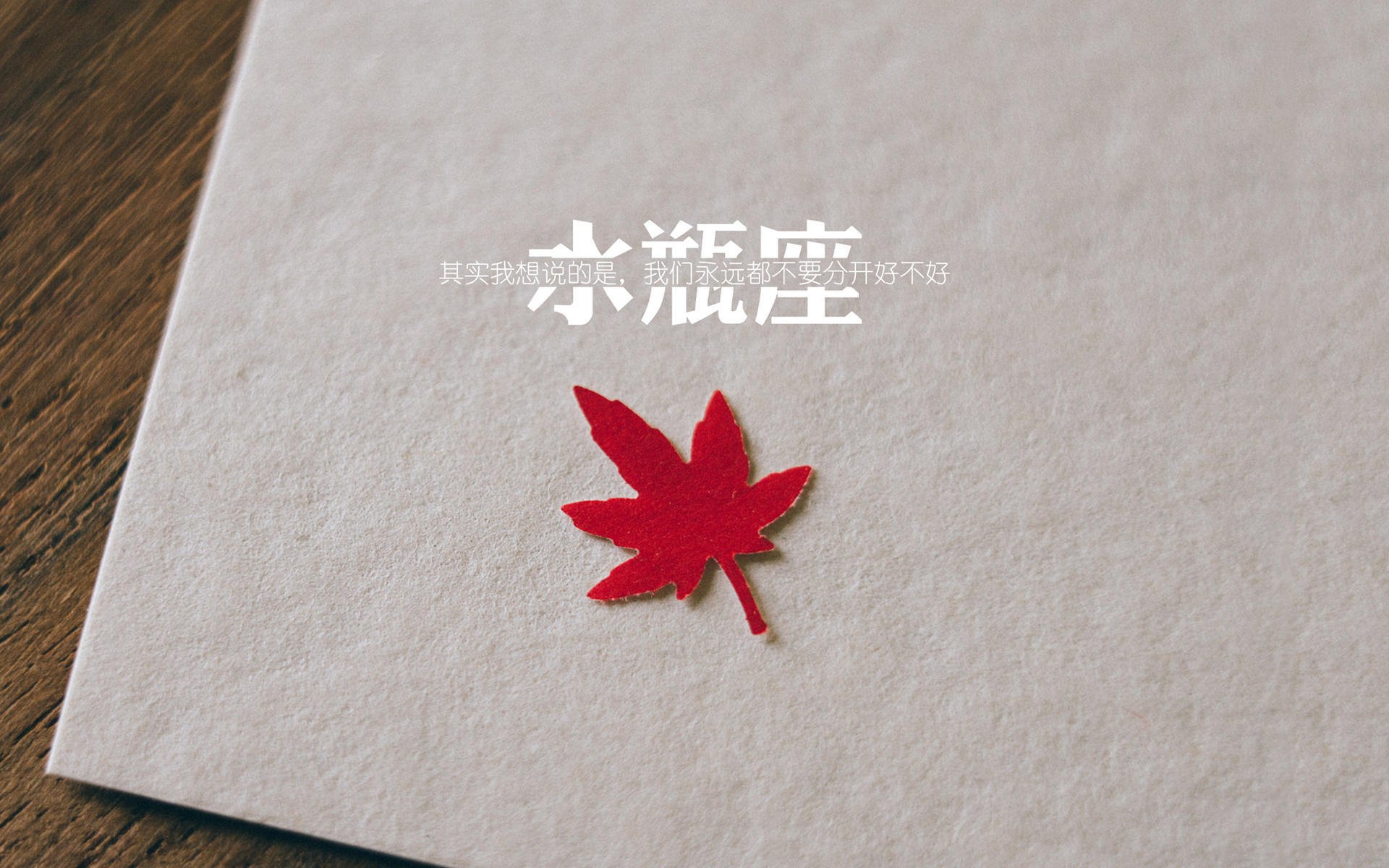 上海“青少年篮球节”助力青少年培养冠军梦想,上海市青少年篮球夏令营