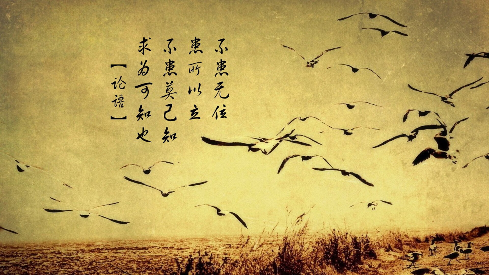 不莱梅主场粉碎对手野心，不莱梅青训