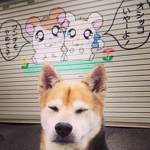 -哈兰德新赛季第20球，继续领跑英超射手榜，哈兰德最新转会