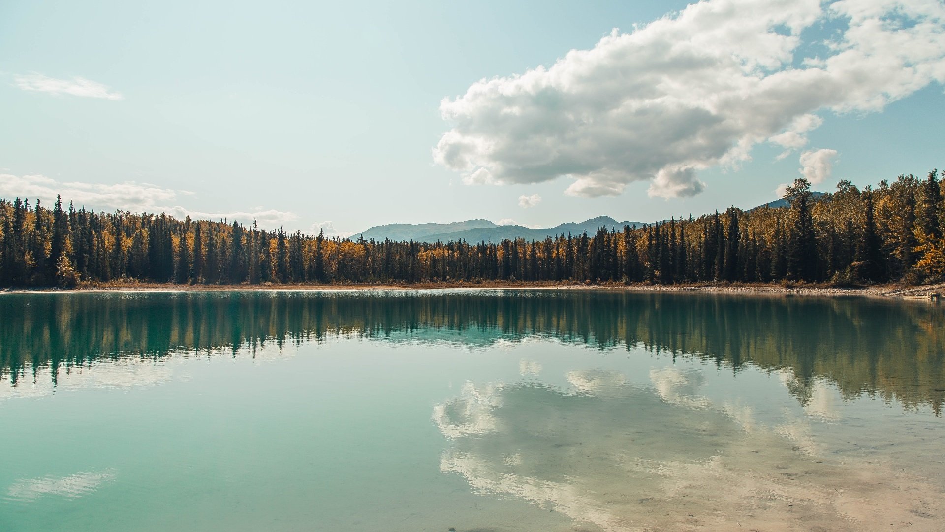 九游用户空间-曾经的“万人迷”欧冠星光璀璨时刻