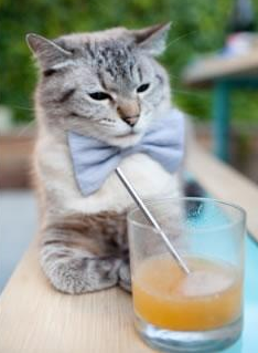 九游APP官网-森林狼设立“球员自评系统”，辅助成长反馈，森林狼球员名单最新