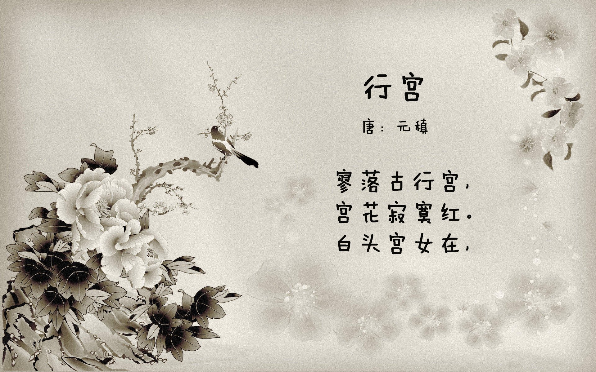 迪马利亚宣布国家队退役,结束16年征程,迪马利亚 续约