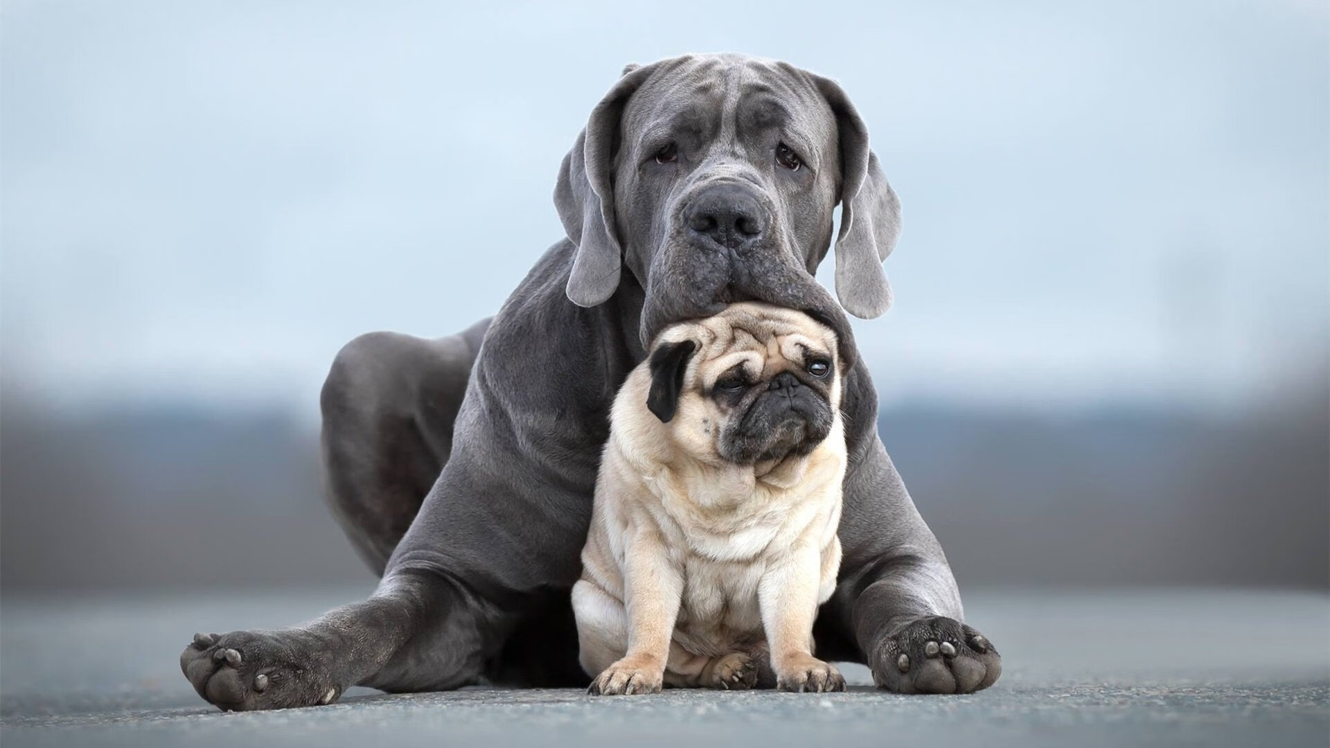 九游app官网下载-镜头聚焦：杜兰特双节砍下40+的精彩瞬间，杜兰特绝杀合集