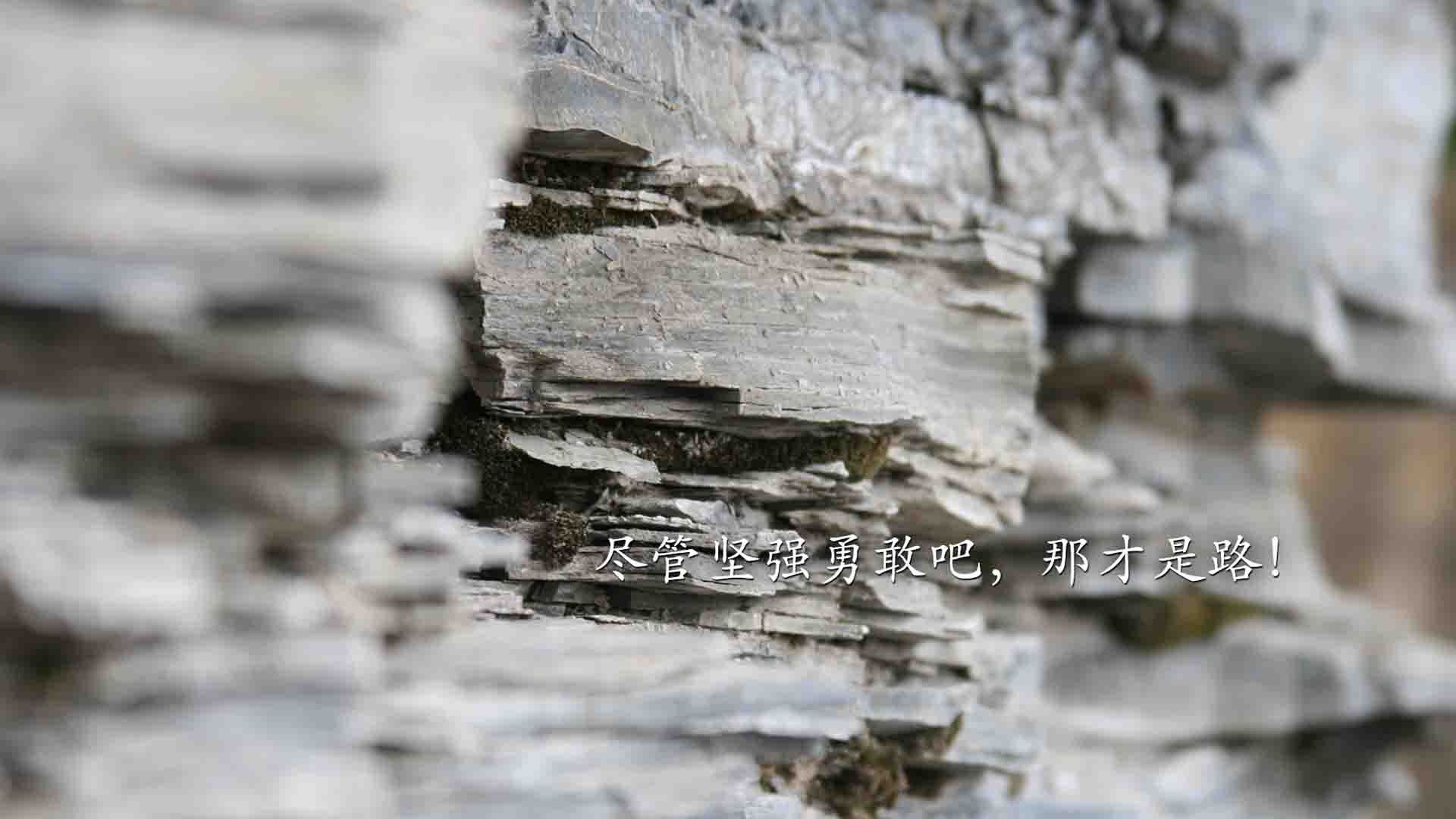 镜头聚焦:杜兰特双节砍下40+的精彩瞬间,杜兰特绝杀合集