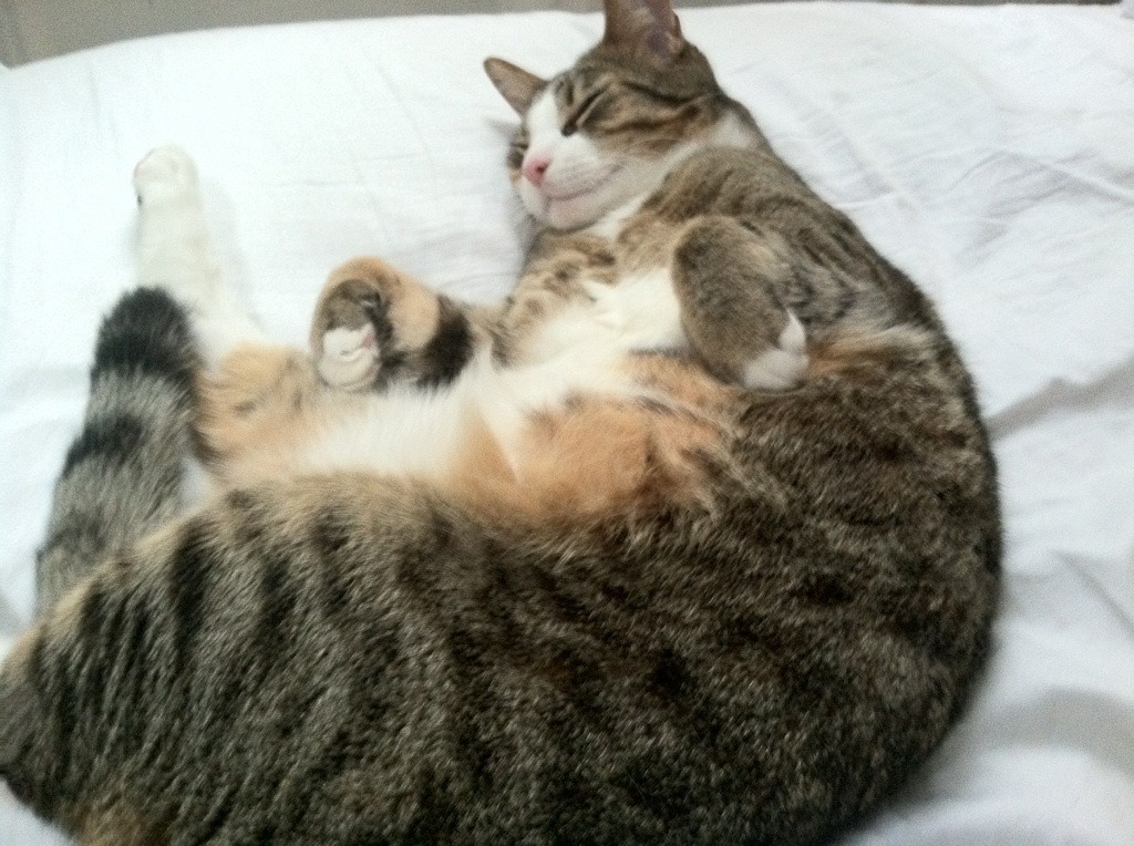 -Gen.G战队战术布置引发热议，gen.g战队怎么念