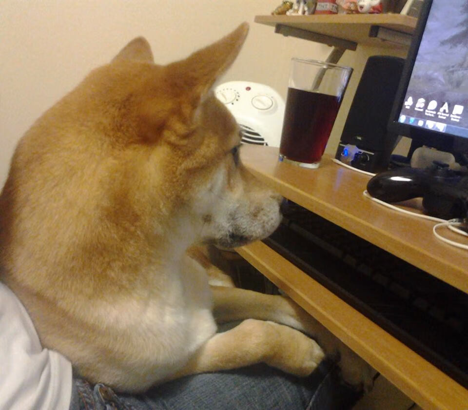 九游app官网下载-《勇士替补席贡献有限，球队深度成疑》，勇士补赛