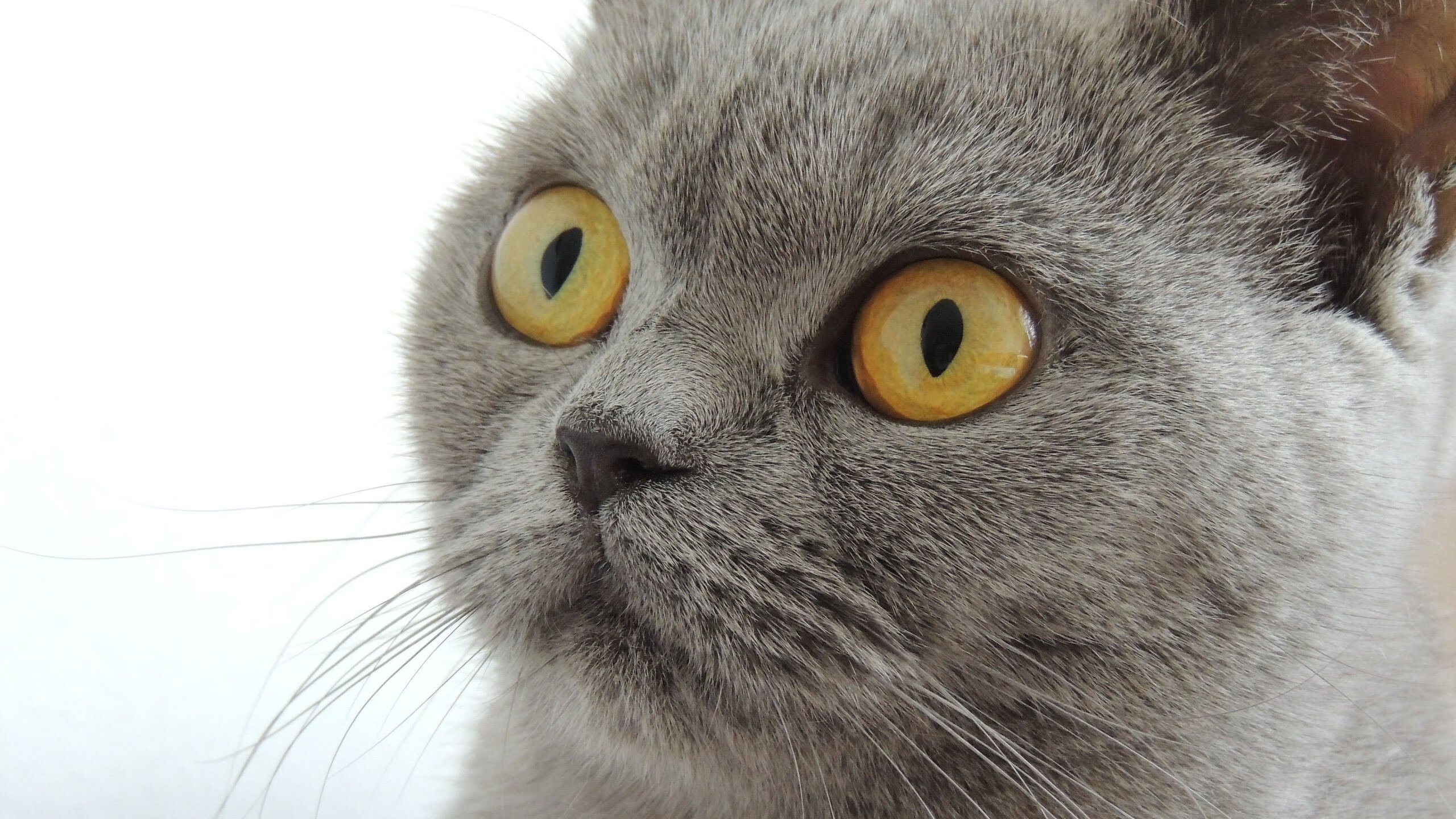 九游sports-快船连续压制对手乔治高效发挥，快船拿什么交易的乔治