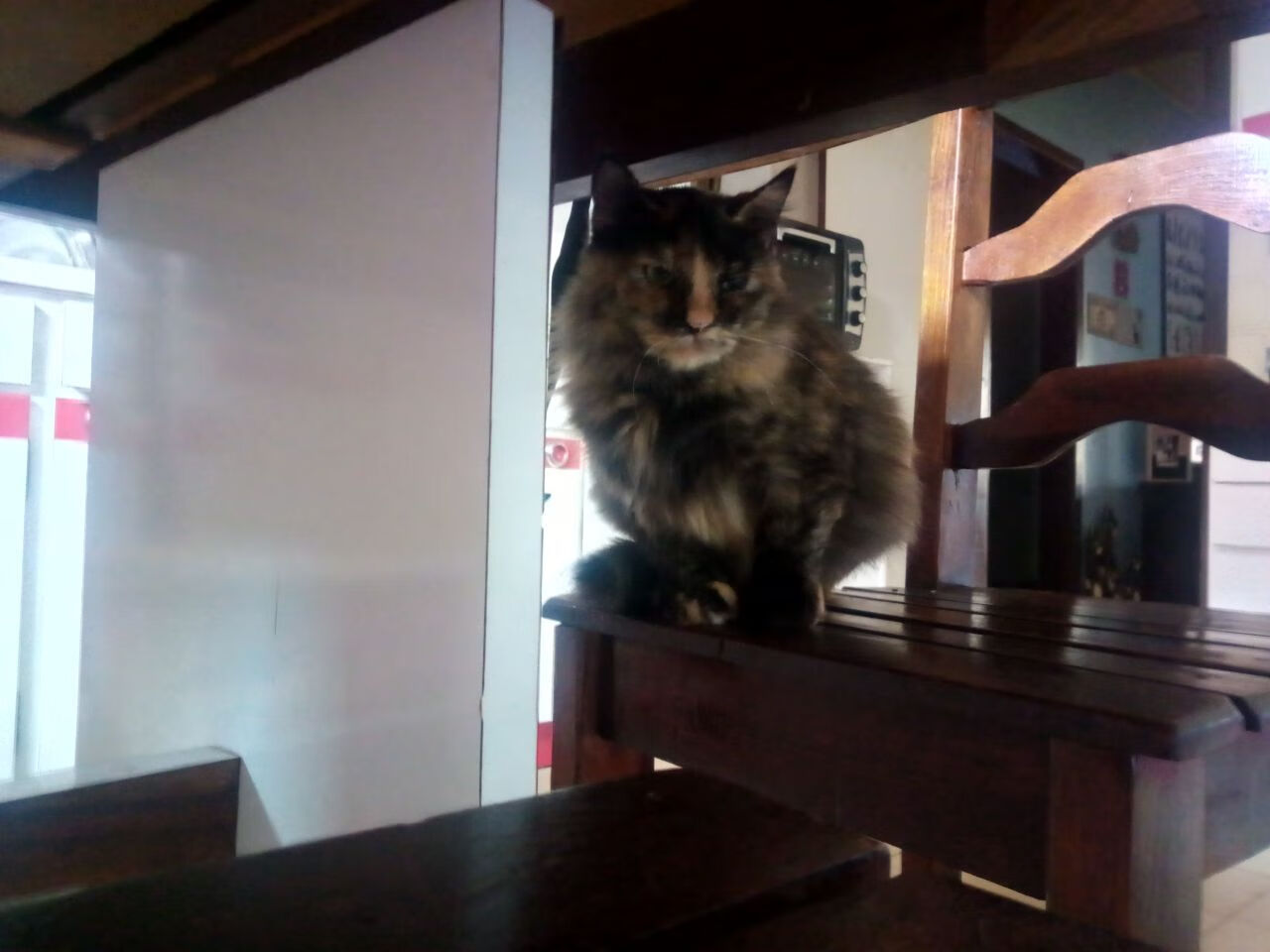 摩纳哥中场组织严密，或将掌控比赛节奏，摩纳哥官方