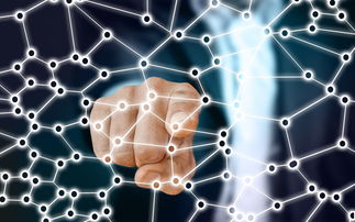 九游娱乐官网 (JIUYOU)-中国足球青训梯队人员年龄层结构，足球青训年龄段