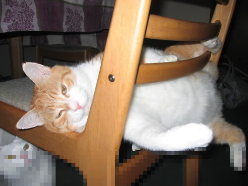 英超球队基于球员跑动热区调整攻守转换策略研究,英超球队战术