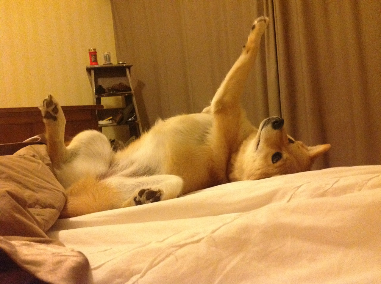 CBA自由市场风云再起大牌球员流动频繁，cba自由市场风云再起大牌球员流动频繁