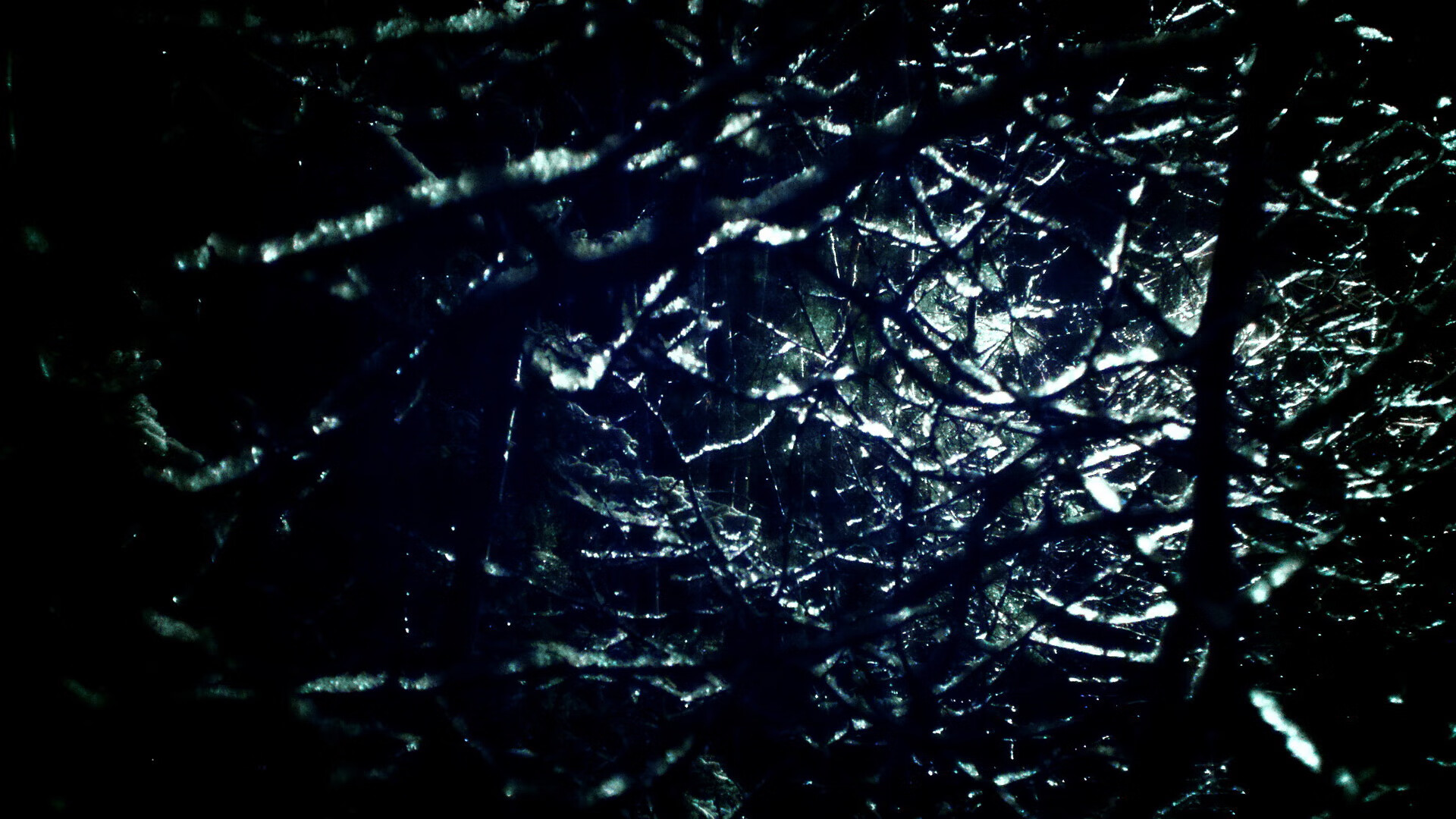 九游app下载中心-“飞盘竞技：三叉湖赛场成为空中运动爱好者的竞技圣地”