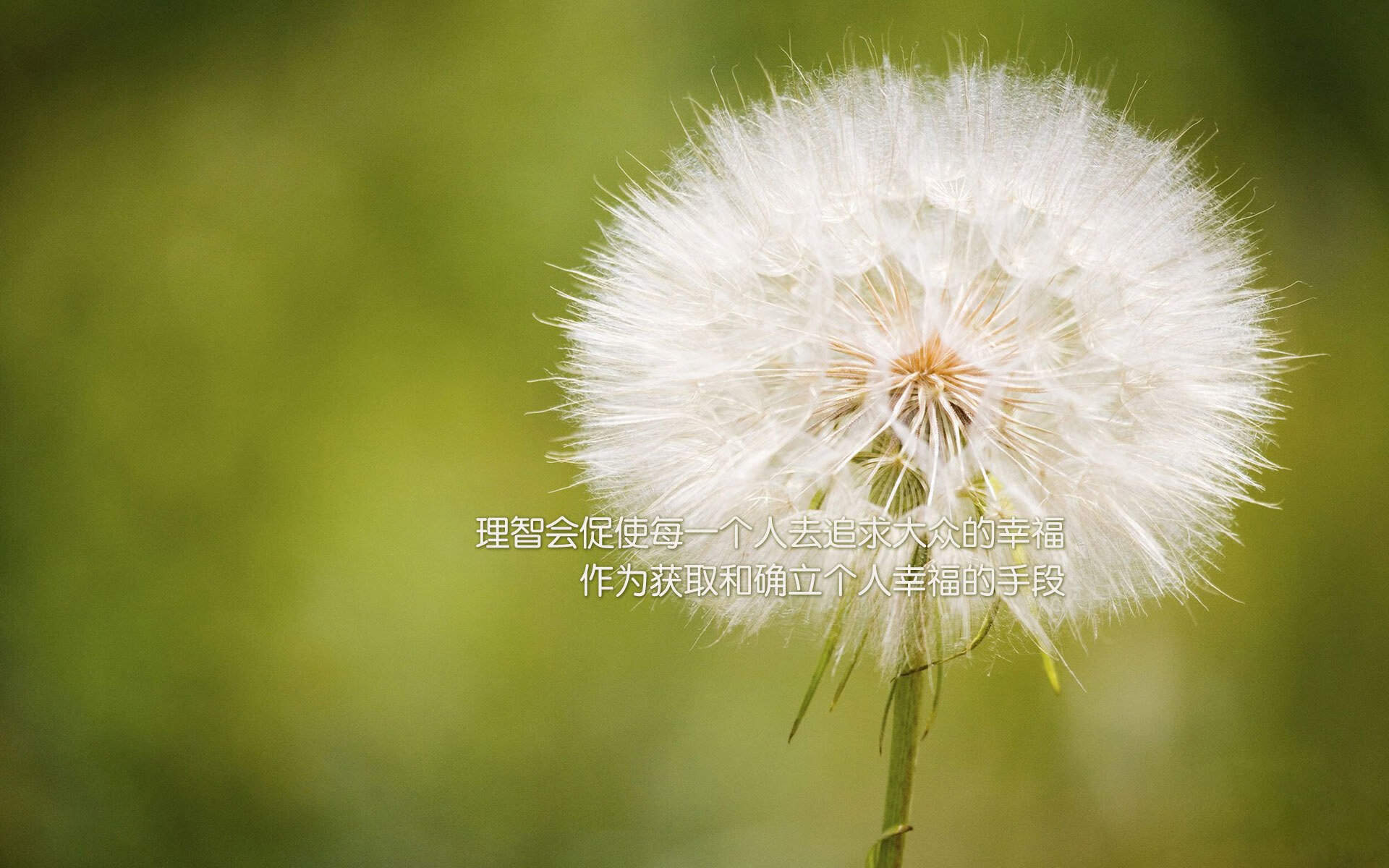 外教执教风格为何难与本土球员融合，外教员是什么