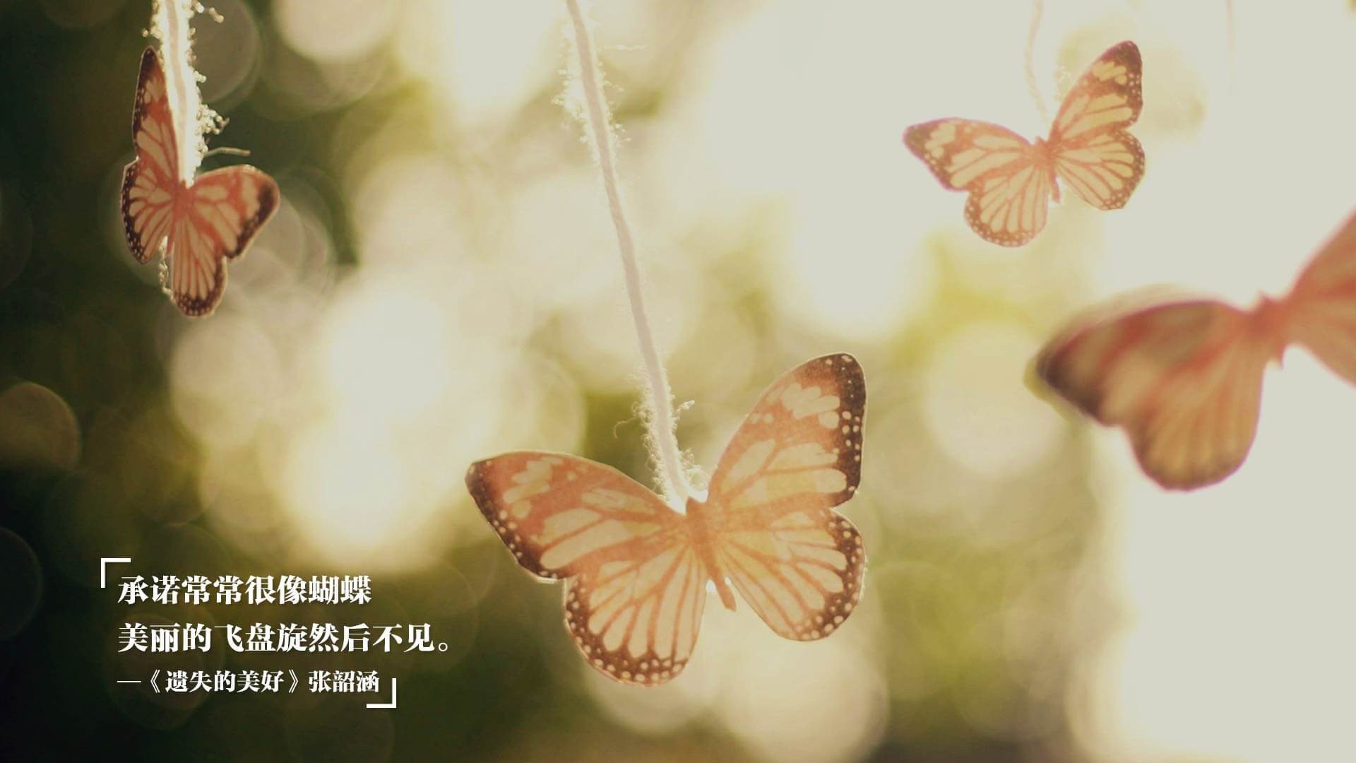 帕利斯特女子自由泳项目冉冉升起新星,帕特里斯