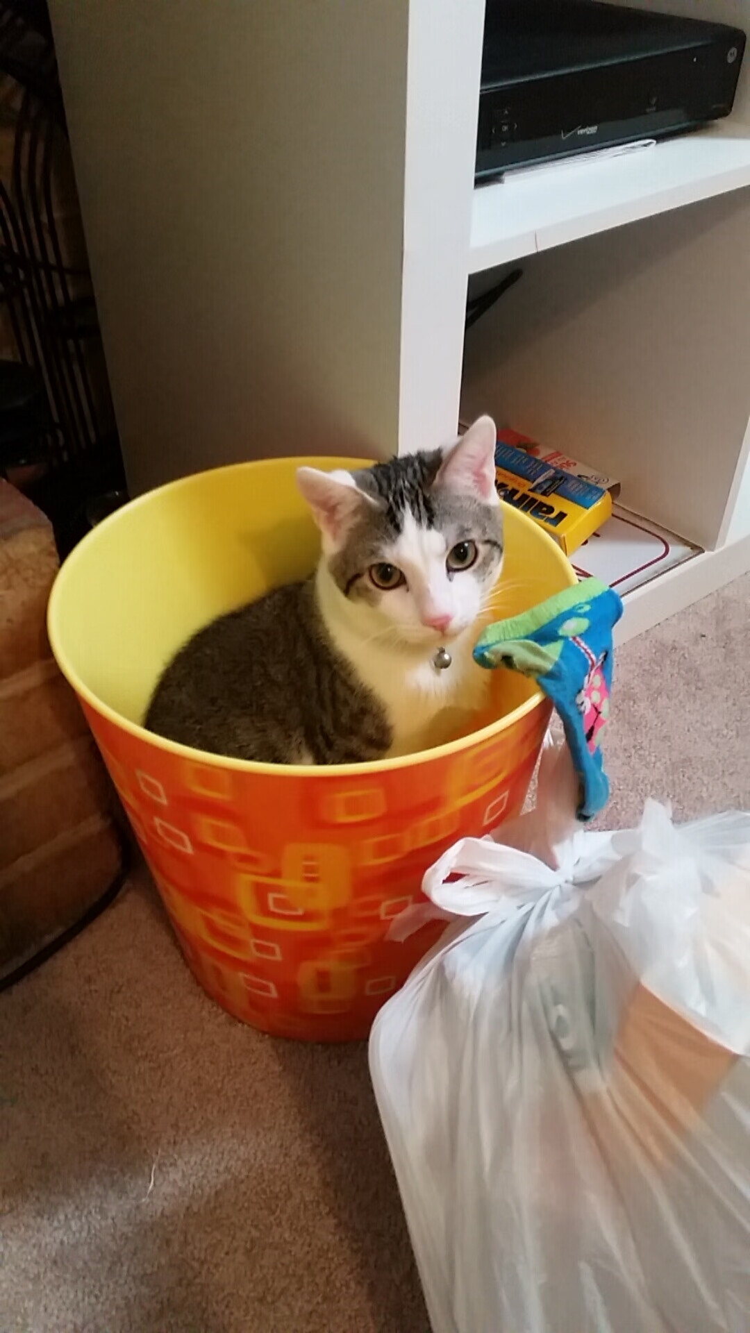 九游网-职业联赛推出赛前球迷问答环节增强现场互动性，球迷知识问答