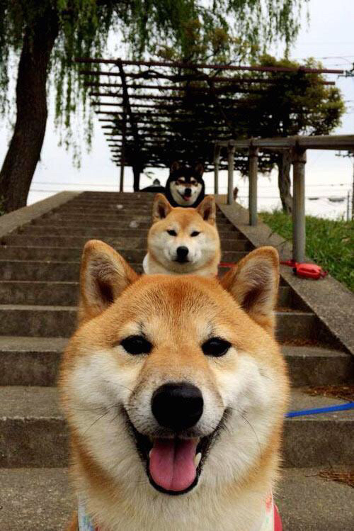 九游游戏中心官网-英超巅峰竞技：激烈比拼，精彩纷呈，英超榜首之争