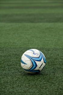 九游体育投注-高校体育赛事应急管理体系构建，体育赛事应急预案细则